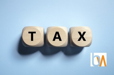 Cost of professional tax advice