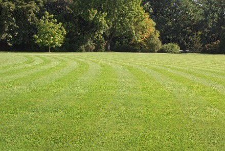 large lawned garden neatly mowed, selling or developing the garden